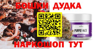 шишки Будённовск