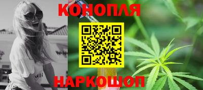 шишки Будённовск